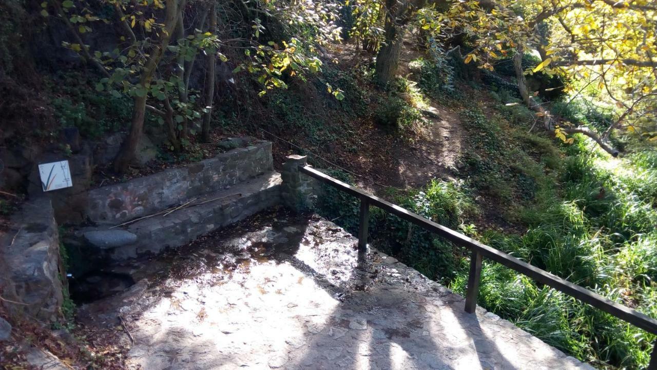 Apartament Rural Vilaplana Εξωτερικό φωτογραφία