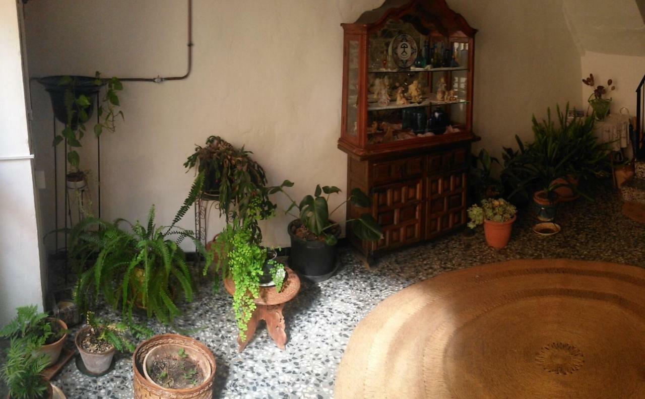 Apartament Rural Vilaplana Εξωτερικό φωτογραφία